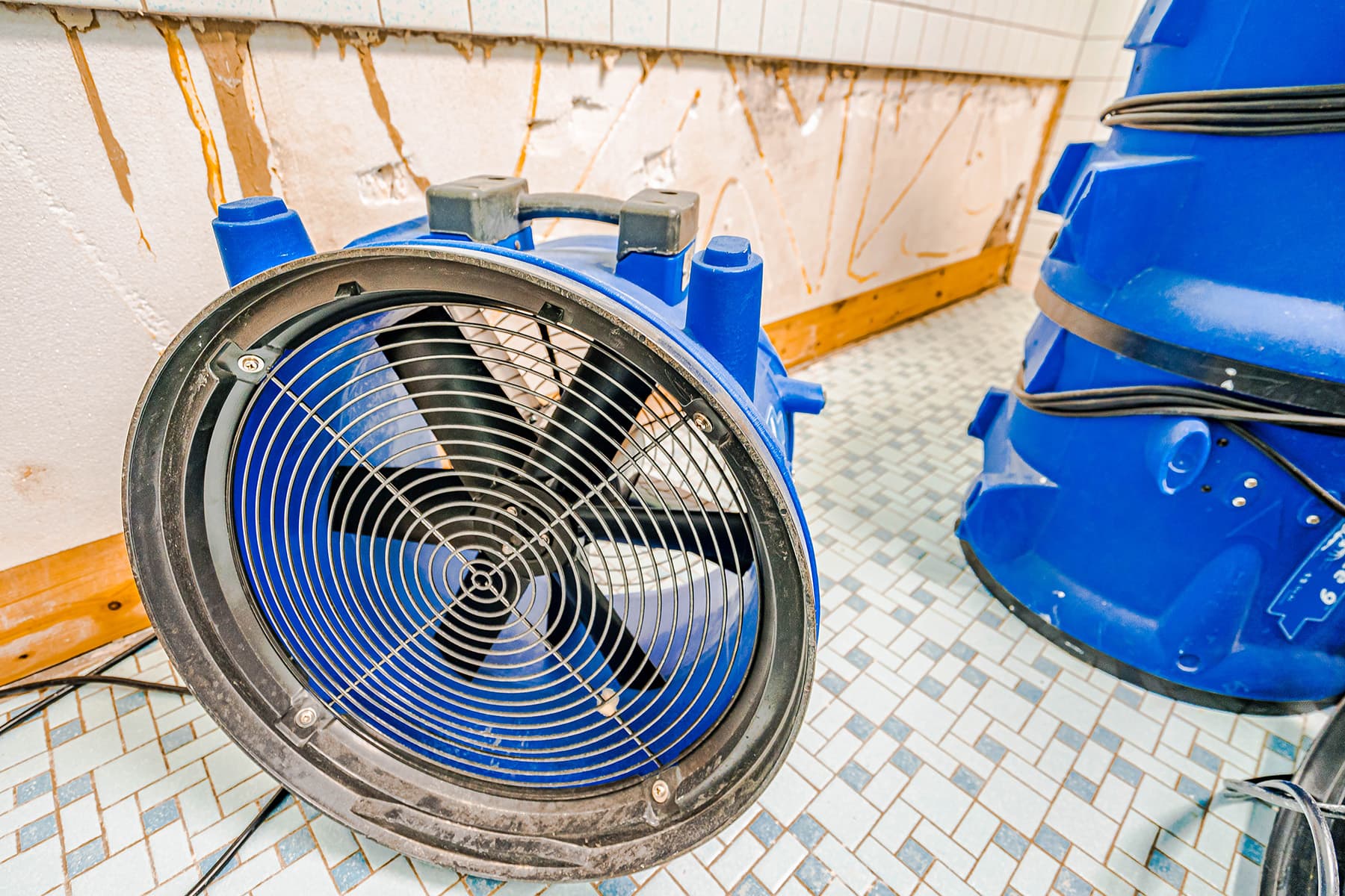 Certified water damage restoration and structural drying setup in St. John's NL home